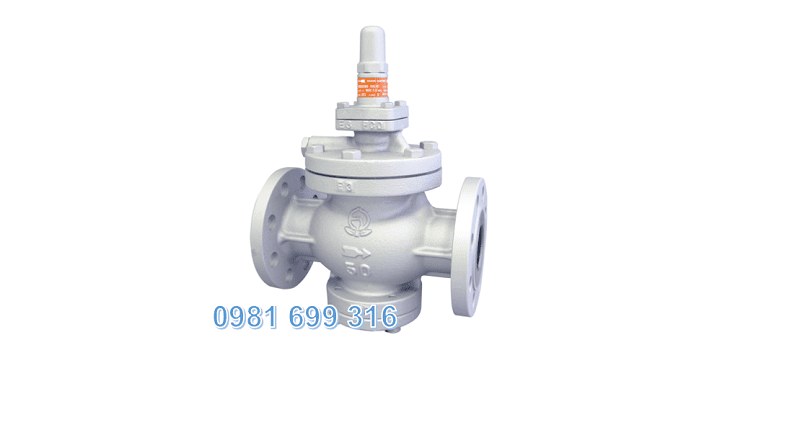 van giảm áp nối bích 5