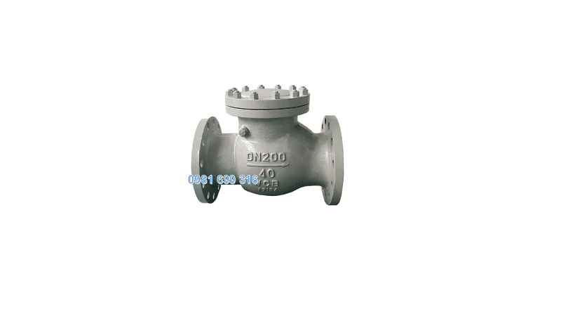 van 1 chiều lá lật DN200 4